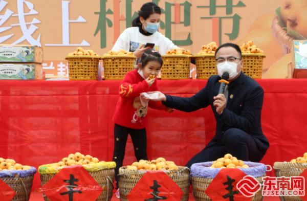 现场直播带货 莆田枇杷“云端销售”向全国各地