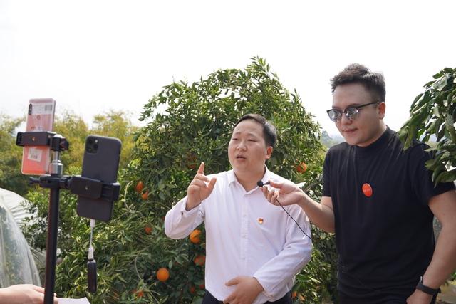 助力农产品销售，县长直播“带货”成效明显