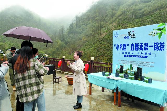 东坑第一锅野茶主播带货卖出100份