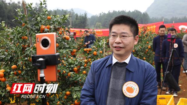 信息化助农丨永州江永：县长化身“带货”主播助力果农增销量