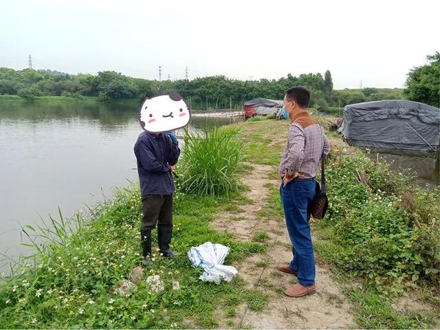 “鸭老板”亏本带货，助力农户售出滞销成鸭近3万只