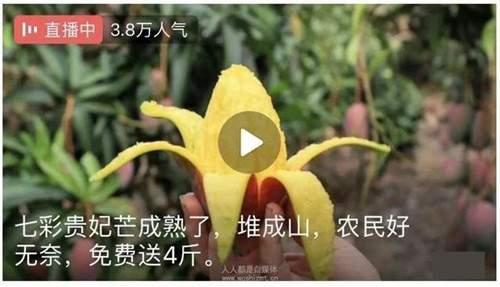 西瓜视频直播带货技巧总结 以及带货常见误区及提升技巧