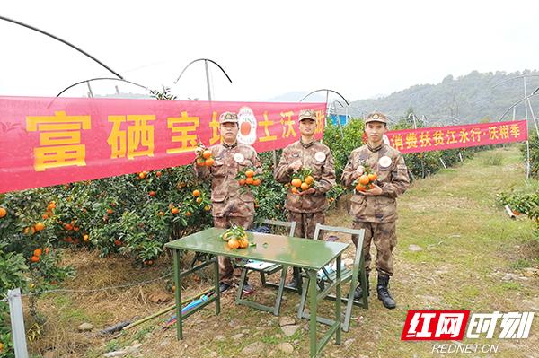 “迷彩绿”化身“带货主播”三小时网售沃柑两万斤