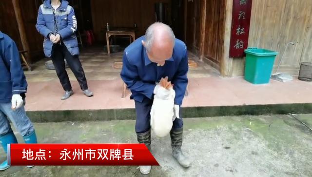 农产品纷纷亮相 双牌掀起全民“直播带货”热潮