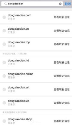 京东的社交电商“东小店”域名被抢光，剩下最好的却没人敢要？