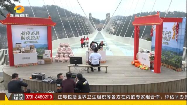 县长也来直播带货了！在张家界玻璃桥，既卖农产品，又卖好风景，点赞！