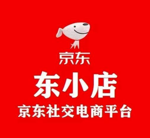 2020年社交电商的崛起