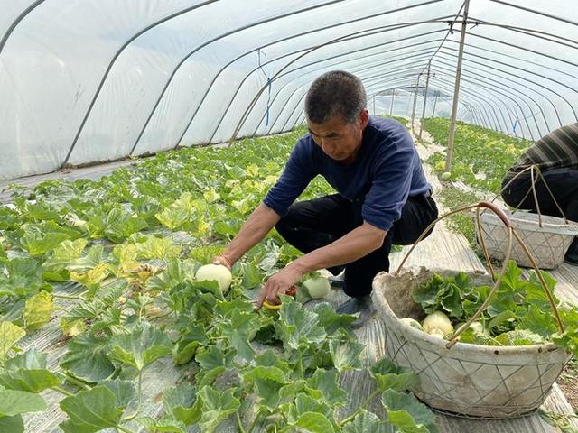 “快手”合作 网红带货