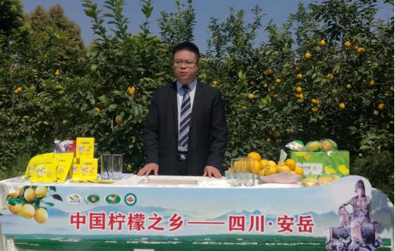 县长直播带货，短短几分钟直播接单近400件