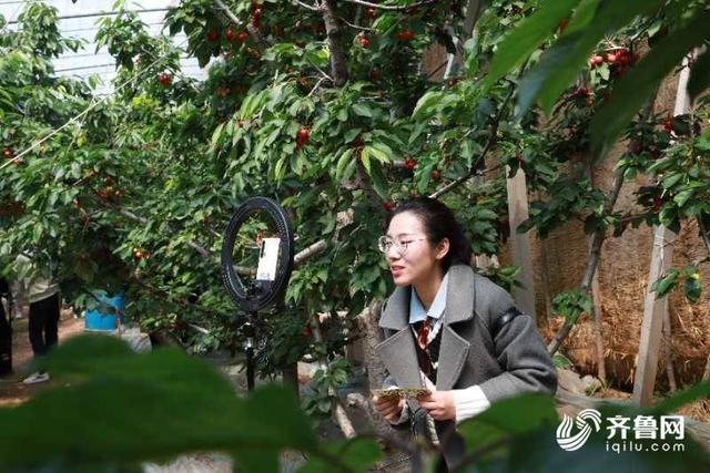 直播带货助农增收 潍坊安丘脱贫攻坚搭上“网络快车”