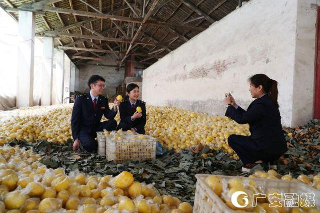 干部带货直播　消费扶贫缓解柠檬销售难