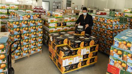 市县长“硬核”带货，6亿消费者为湖北优质农产品拼单