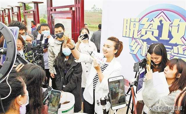 资讯 | 乡村直播带货 重庆热起来了   一部手机让成千上万消费者“看到”农产品的好