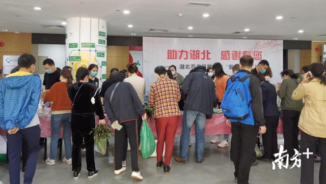 深圳答谢湖北：志愿者为湖北农产品现场带货