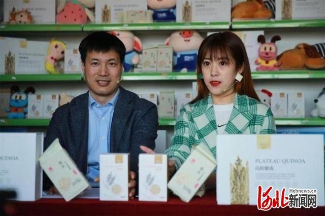 县长带货“太空粮食”！河北张北云端售卖藜麦开辟电商扶贫新路径