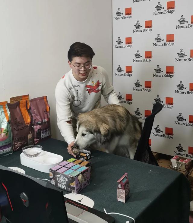 猫猫狗狗也直播“带货”！每场销售过千单