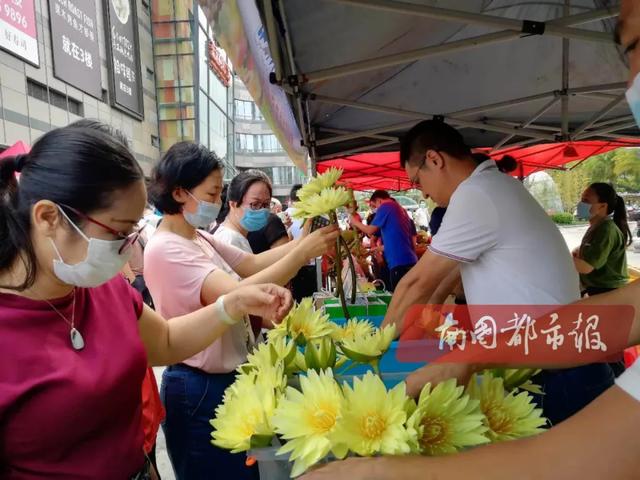 领导干部实力带货，为海南扶贫产品打call