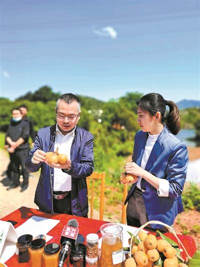 直播带货 消费扶贫新动能