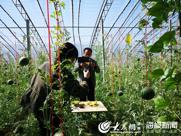 新业态成为新常态 滨州惠民直播带货蓬勃兴起