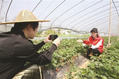 先锋带货助农拓销路