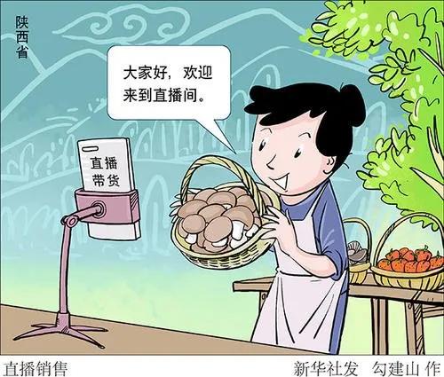 我们都是“带货王”  陕西党政领导干部中的那些“李佳琦”
