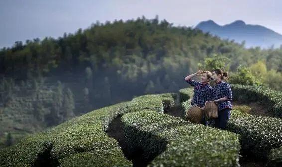 霍山县一领导直播带货 直播3小时总量突破153万元