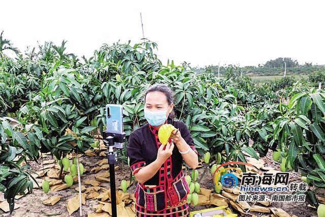 “直播带货”怎么玩？海南电商告诉你