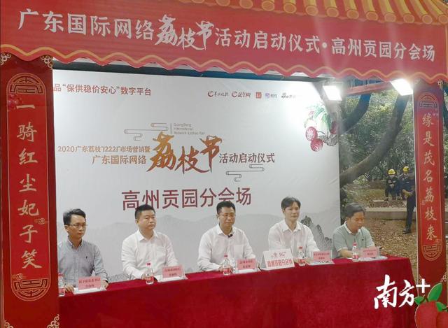 8天3次带货！高州市市长连线广东荔枝节：当年杨贵妃吃的荔枝来自我这