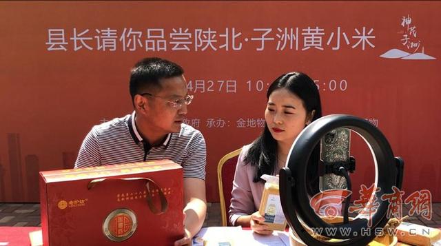 子洲副县长现身西安小区直播带货 5小时卖出黄小米8200多斤
