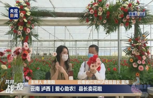 “有货”才能“带货”