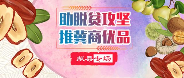 书记来了 | 秒光！献县县委书记直播带货，107万网友同时在线观看