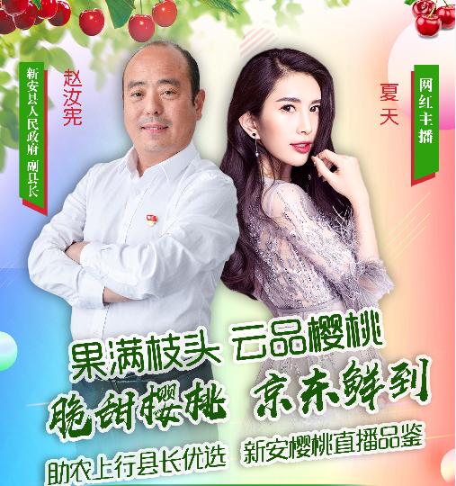 副县长直播“带货”，10分钟卖出新安樱桃40000余元