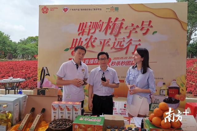 直播2小时，带货300万元！“县长直播带货”梅州平远专场火了