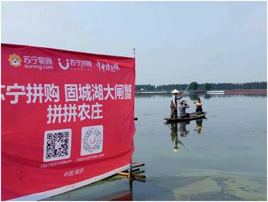 南京高淳：电商试水直播带货 助力农产品销售
