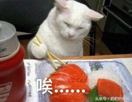 淘客还能做吗